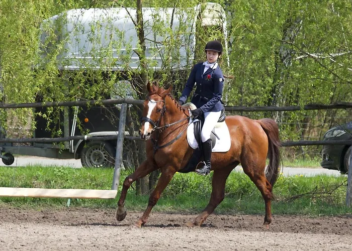 House Family Parque de vacaciones Dąbki